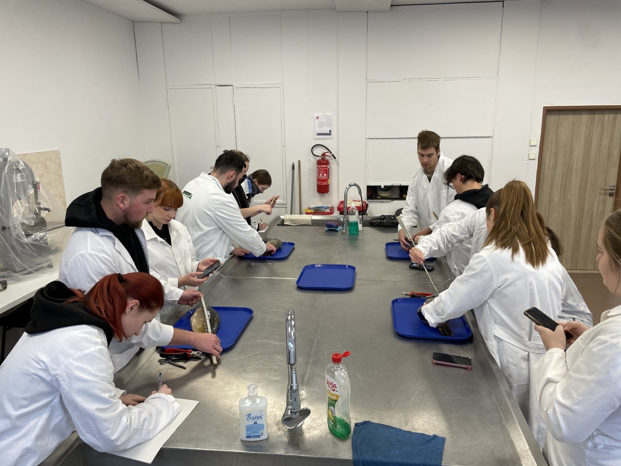 Praktické cvičenie z Chovu rýb